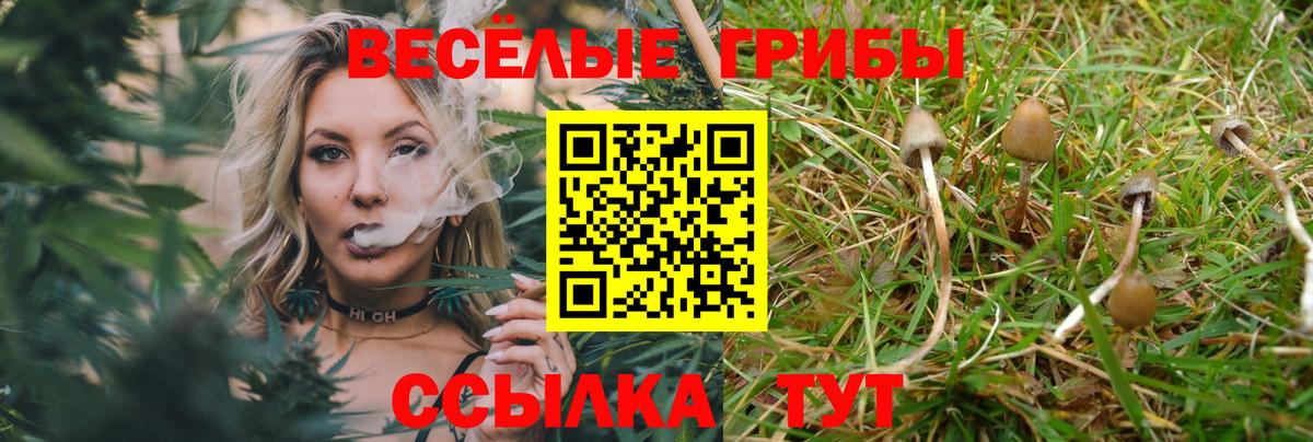 Псилоцибиновые грибы прущие грибы  Вход с VPN  Буйнакск 